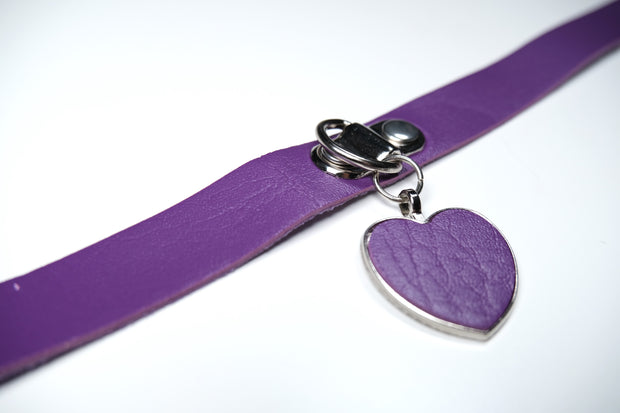 Light Purple Heart Pet Play Set