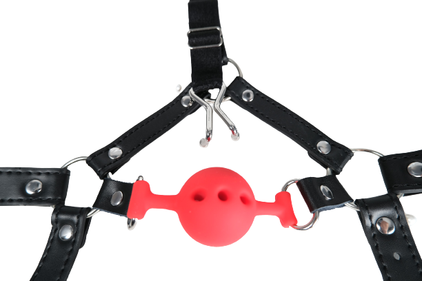 Mouth Ball Gags With Nose Hook